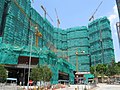 Architectural peak days in the south wall of the Silver Lake (August 2008)