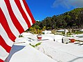 American flag flying next to caskets