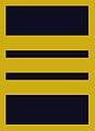 Flight suit sleeve insignia for a lieutenant colonel (2003–present)
