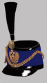 dark-blue 1st and 13th Hussars