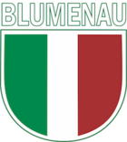 Logo: Blumenau EC