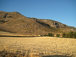 Countryside in the Comarca de Antequera.