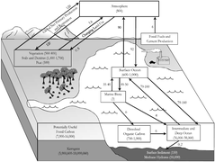 Climate change carbon cycle