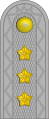 Ritmester (Royal Danish Army)[8]