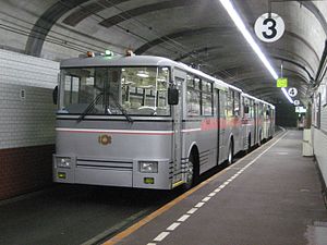 黑部大坝站停靠中的300形无轨电车（日语：関西電力300形無軌条電車）（2007年6月27日）
