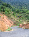 The road down to Kuthuparamba