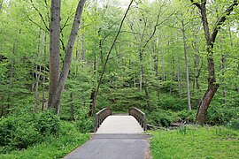 Rock Creek Trail 8th crossing