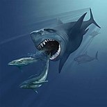 Megalodon pursuing two Eobalaenoptera whales by Karen Carr