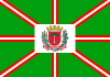 库里蒂巴旗帜