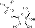 β-D-fructose 6-phosphate