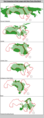 Area Comparison between theArab League and different parts of the World.