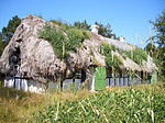 An old house thatched with seaweed