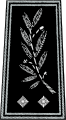Contrôleur général (Controller General) the equivalent of Deputy Assistant Commissioner in the Metropolitan Police.
