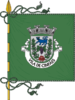 Flag of Cinfães