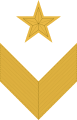 Chevron/ sleeve insignia