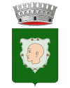 卡尔维扎诺徽章