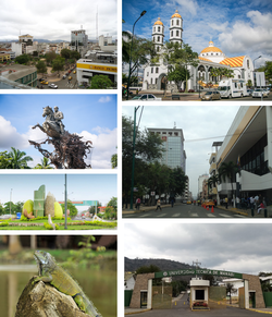 From top, left to right: Vicente Amador Flor Central Park, Metropolitan Cathedral of Jesus the Good Shepherd, Eloy Alfaro monument, Olmedo street, Manabi Agriculture monument, Portoviejo Botanical Garden and Manabi Technical University.