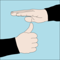 Ascend to stop: Thumb-up ascent signal below a flat hand, palm down.[39]
