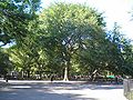 Tompkins Square Park Hare Krishna