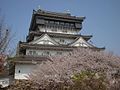 Kokura castle with sakura