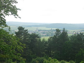 A general view of Laferté-sur-Aube