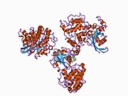 1am4: COMPLEX BETWEEN CDC42HS.GMPPNP AND P50 RHOGAP (H. SAPIENS)