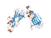 2i32: Structure of a human ASF1a-HIRA complex and insights into specificity of histone chaperone complex assembly