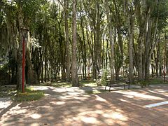 Square in Mérida