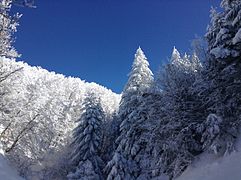 艾古阿勒峰普拉特佩罗滑雪场的雪景