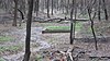 A spring site at the Illinois Salines