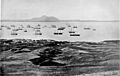英军舰队在大连湾 (1860年)