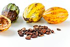 Cocoa harvested in São Tomé and Príncipe