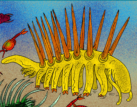 Reconstruction of the famous Cambrian organism, Hallucigenia sparsa.