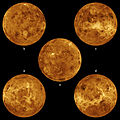 Five globes of Venus