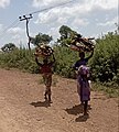 Two Ura women carrying firewoods