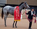 於 2023年4月4日 (二) 17:01 版本的縮圖