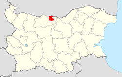 Nikopol Municipality within Bulgaria and Pleven Province.