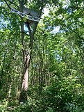 A Stop Cop City tree sit in the OId Atlanta Prison Farm