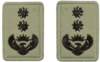 Colonel embossed badge