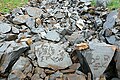 Petroglyphs at Saimaluu Tash