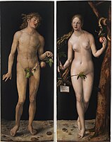 Adam and Eve by Albrecht Dürer, 1507