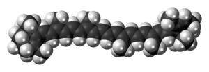 Space-filling model