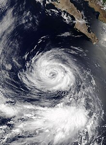 A satellite image of Tropical Storm Cristina at peak intensity