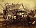 Mule-drawn wagon in Stony Creek, Virginia
