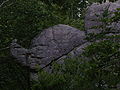 "Elephant Rock"