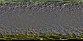 谷神星彩色全图，因制作时谷神星表面彩色图不完全覆盖表面，高纬度区域呈现绿色或黄色。