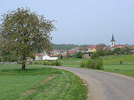 A general view of Rogéville