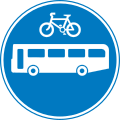 Road shared by bicycles and buses