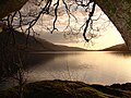 Image 54Loch Lomond in Scotland forms a relatively isolated ecosystem. The fish community of this lake has remained stable over a long period until a number of introductions in the 1970s restructured its food web. (from Ecosystem)