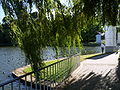 Commonwealth Park in Canberra